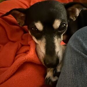 Meet your Posher, Luca